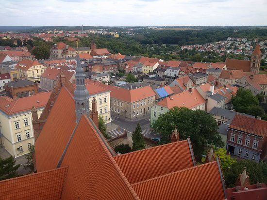 Kościół Wniebowzięcia Najświętszej Maryi Panny w Chełmnie